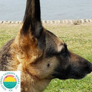 Meet your Posher, Shea